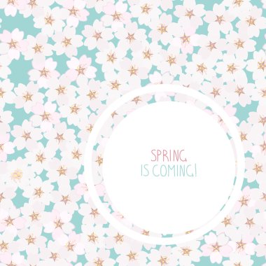 Kartpostal 'Bahar geliyor!'. Kiraz çiçeği.