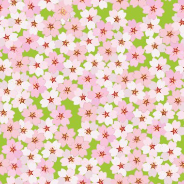 Kiraz çiçeği. Sakura çiçekler. Seamless modeli
