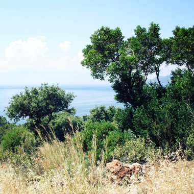 Sakin mavi deniz ve açık gökyüzü. Bahar güneşli gün.