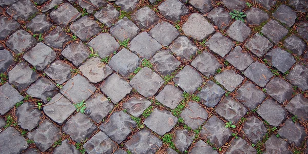 Old pavement. Stone roadway with grass. Rome.