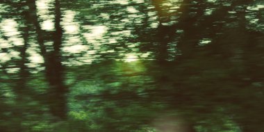 Ufuk ağaçlar ile bir araba ön cam - vintage filtre görüntülendi