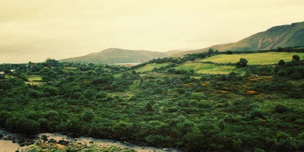 Une vue panoramique sur les montagnes Kerry et les environs à Coun — Photo