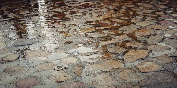 Kaldırım taşı su birikintileri - vintage etkisi ile ıslak. Avluya kaldırım taşları.
