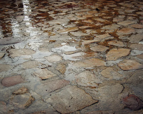 Wet paving stone with puddles - vintage effect. Yard paving stones. — Stock Photo, Image