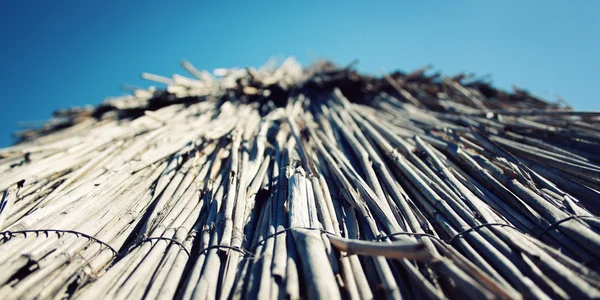 Haulm umbrella close up on the beach. Selective focus. Aged phot — Stock Photo, Image