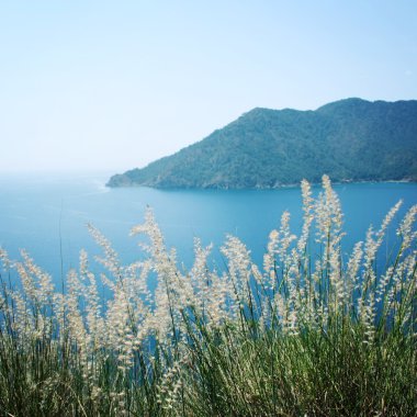 Adrasan Bay görünümünü. Kuru tüy ot ve deniz - vintage fotoğraf.