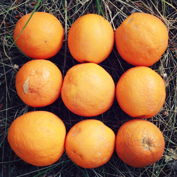 Fresh oranges on display. Harvest in Turkey.