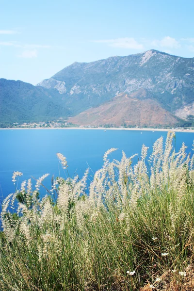 Vue sur la baie d'Adrasan. Herbe plume sèche et mer. Photo vieillie . — Photo