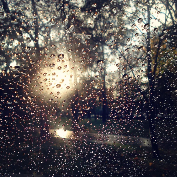 Autumn park through car glass. Retro filter. — Stock Photo, Image