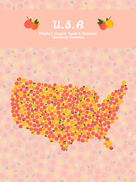 Um cartaz ou cartão do mapa dos EUA. Cartão postal alimentar saudável . —  Vetores de Stock
