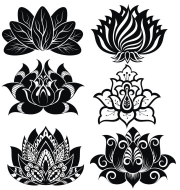 Resimde dekoratif nilüferler kümesi