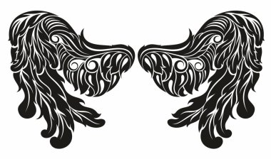 Bir çift kartal kuşu ya da melek kanadı