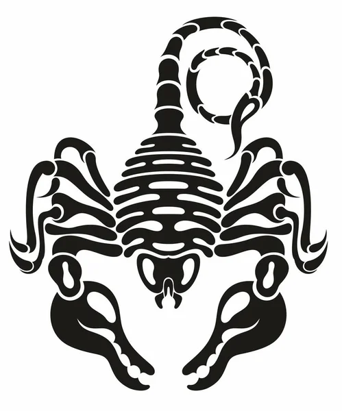 Ikona Skorpiona Izolowany Wektor Czarno Biały Sylwetka Obraz Dzikiego Zwierzęcia — Wektor stockowy