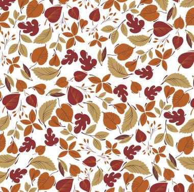 Akçaağaç sonbahar yapraklı arka plan