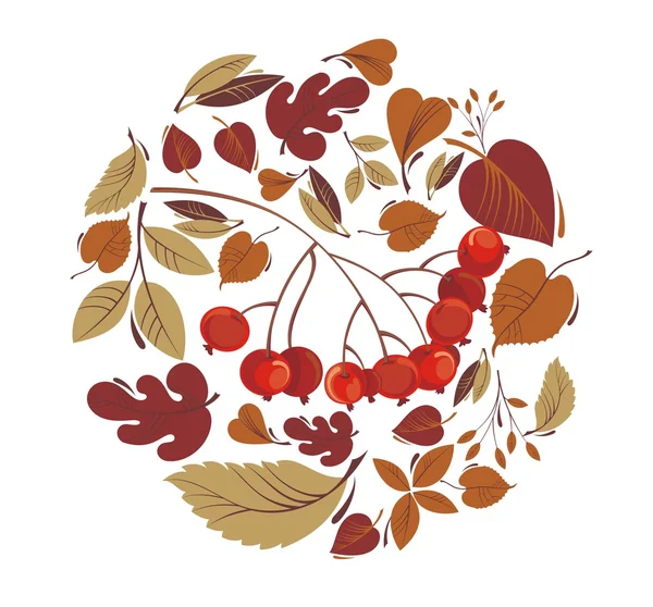 Herfst bladeren met rowanberry — Stockvector
