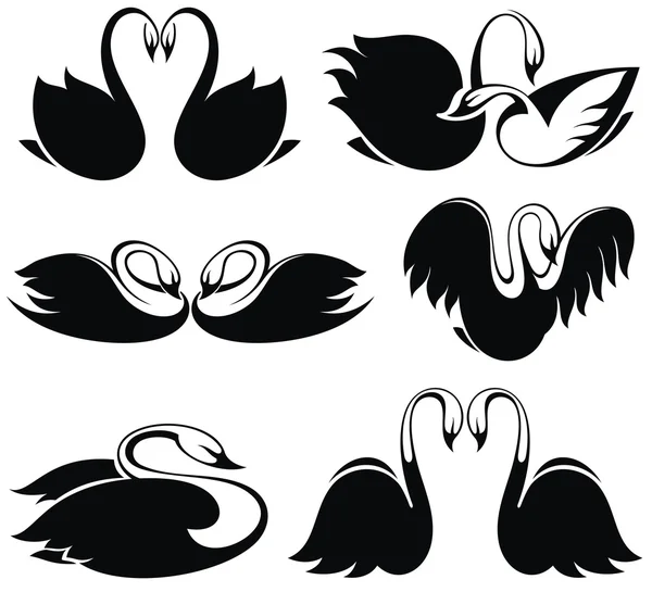 Black swan — Stock Vector