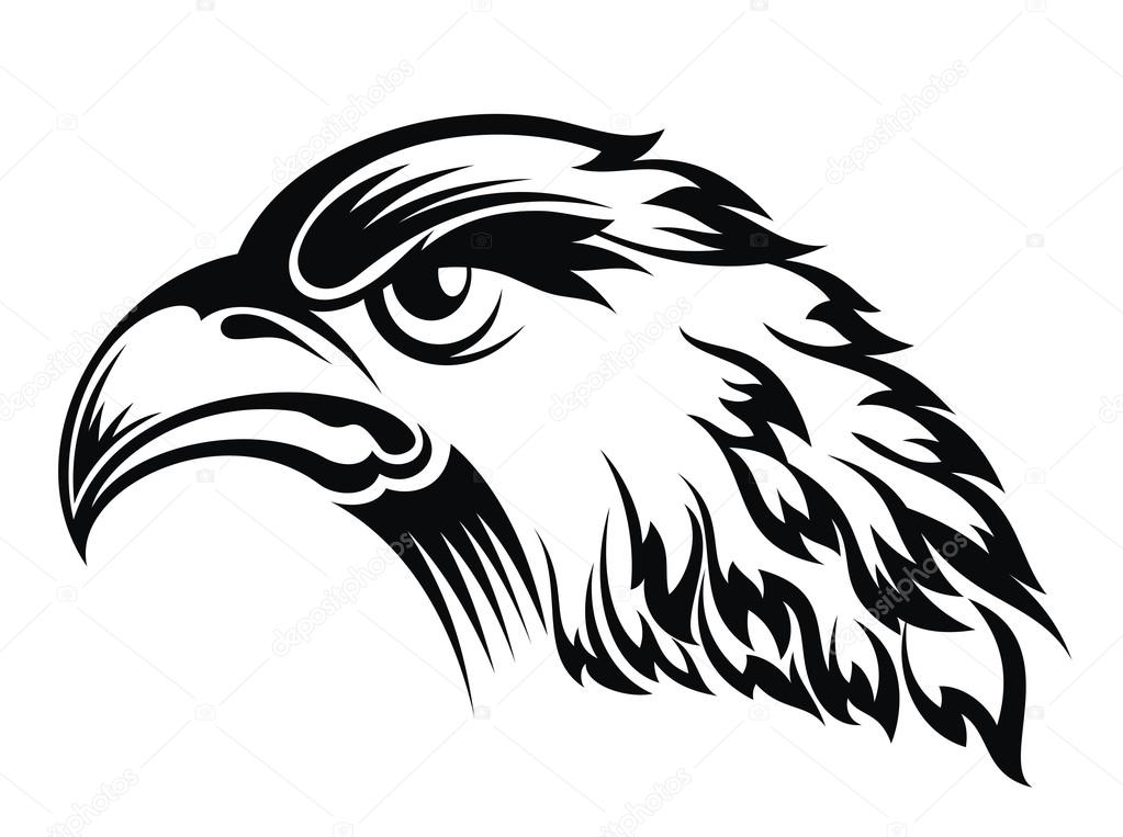Realistic eagle head