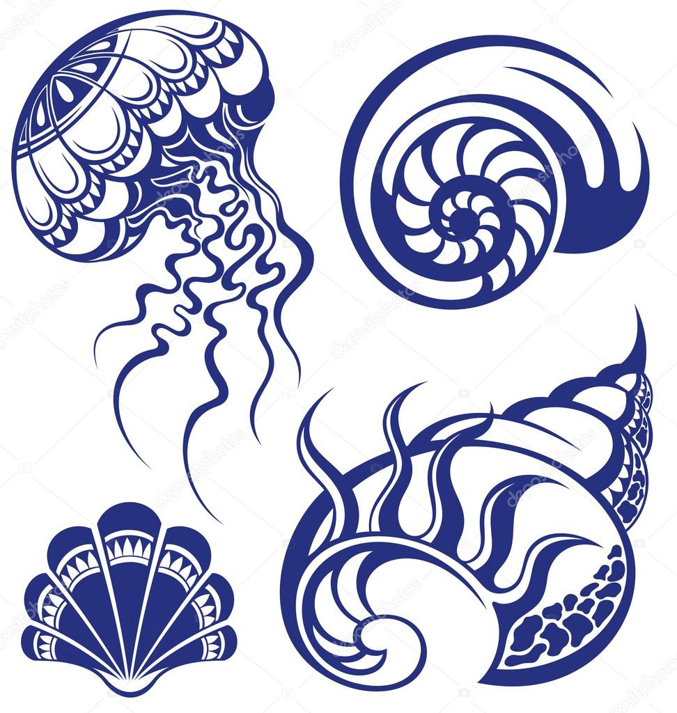 Set of jellyfish and various sea shells