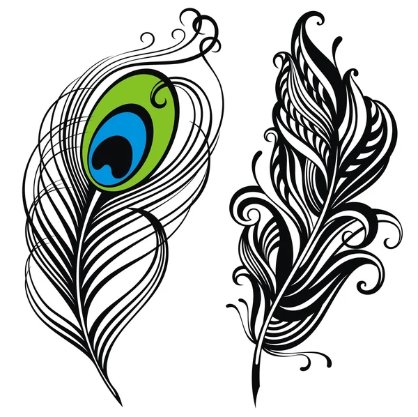 Dos plumas vectoriales — Vector de stock