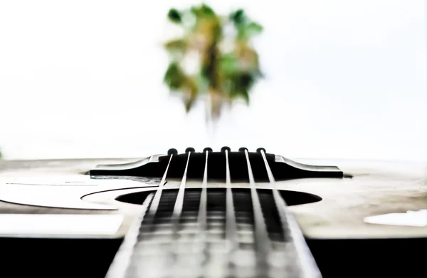 Гітара і дерево пальми — стокове фото
