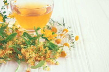 Bir fincan taze bitkisel antioksidan çayı, Hypericum çiçekleri, ıhlamur çiçeği ve beyaz masanın etrafında papatya çiçekleri. Alternatif tıp, bitkisellik ve sağlık konsepti - ilaçlarda faydalı otlar