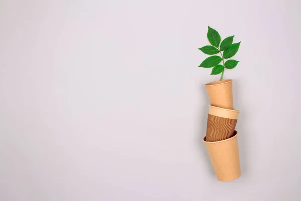 Değişik çevre dostu bardaklar. Üzerinde yeşil yapraklar olan, fotokopi uzayı olan, yeşil yapraklı kraft kağıt bardak. Geri dönüşümlü Kraft kağıt ambalajı ve sıfır atık konsepti. Model resmi