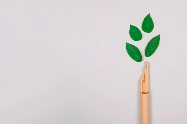 Mockup Van Papieren Rietjes Verpakt Kraftpapier Buis Container Met Groene — Stockfoto