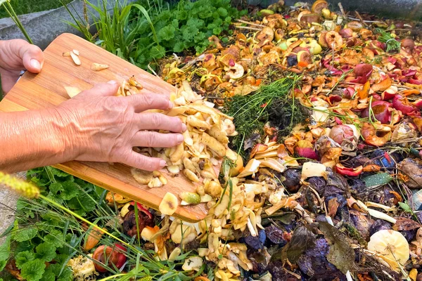 Concept de compostage à la maison : une femme âgée vide les déchets alimentaires et les restes de légumes dans une fosse à compost de jardin pour fabriquer du compost. Conteneur de déchets biodégradables organiques — Photo