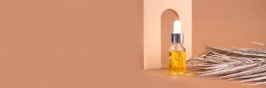 Banner - Düşüren organik kozmetik şişesinin maketi - hyaluronik asit, serum, nemlendirici veya yüz yaşlanmayı önleyici yağ. Biege 'deki temel yağ, altın palmiye yapraklarıyla yaşam bileşimi