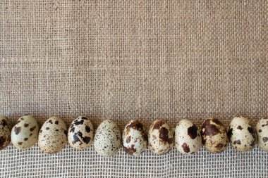 Doğal çuval bezi, keten ya da kenevir kumaş arka planında organik çiftçi bıldırcın yumurtalarını kapatın. Yaratıcı tasarım için fotokopi alanı olan paskalya veya organik gıda konsepti. Üst görünüm