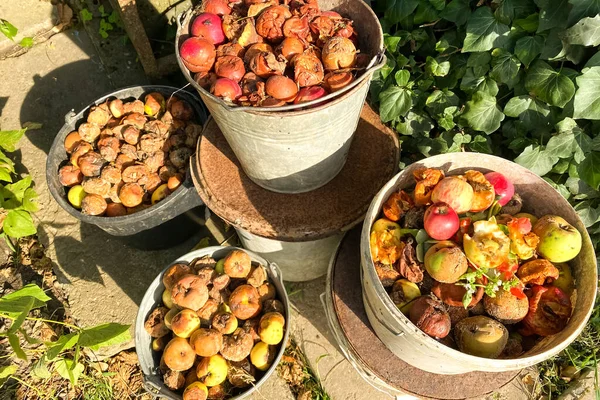 Organic biodegradable waste containers with food waste and vegetable leftovers, garden compost pit for making compost. Composting at home concept, selective focus