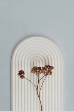 Alçı kalıplı ve kurumuş çiçeklerle doğal biege ve gri renklerde natürmort yaşam bileşimi. Kopyalama alanı olan moda resim. Basitlik ve minimalist konsept fotoğrafçılık. Seçici odak
