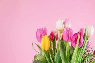 Açık pembe zemin üzerinde güzel renkli laleler ve metin için kopyalama alanı. Kutlama kartı dizaynı - Anneler Günü, Kadınlar Günü, 8 Mart veya Sevgililer Günü konsepti. Seçici odak