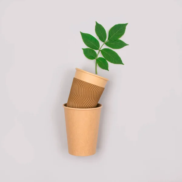 Café ecológico para llevar tazas - taza de papel kraft con hojas verdes arriba sobre fondo gris claro con copyspace. Embalaje de papel kraft reciclado y concepto de cero residuos, imagen de maqueta —  Fotos de Stock