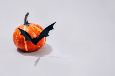 Cadılar Bayramı korkunç kavramı. Dekoratif turuncu balkabağı. Açık gri arka planda yarasa şekilli bıyıklı. Cadılar Bayramı dekorasyonu ya da parti davetiyesi konsepti. Seçici odak