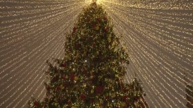 Gece şehir merkezinde süslenmiş Noel ağacı. Renkli süslemeler ve Xmas 'ın her zaman yeşil olan ağaç dalında iplik ışıkları. Ağaçta asılı renkli Noel süsleri. Bauble. - Mutlu yıllar. Tatiller.