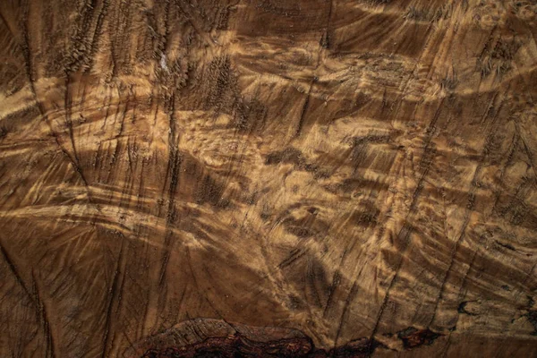 Il tronco di un albero abbattuto è una sezione del tronco con anelli annuali. Struttura primo piano. La distruzione degli alberi per i bisogni dell'umanità ha portato ad un disastro ambientale. — Foto Stock