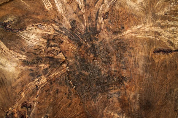 The stump of a felled tree is a section of the trunk with annual rings. Texture close-up. The destruction of trees for the needs of humanity has led to an environmental disaster. — Stock Photo, Image