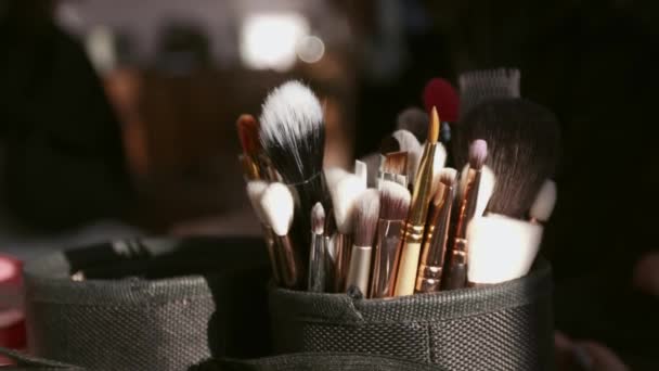 Primer plano de un pincel de maquillaje para artistas. — Vídeos de Stock