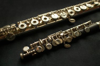 Müzik enstrümanı piccolo flüt ve pirinç flüt.