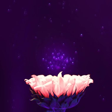 Parlak ayçiçeği. Uzay ve yıldız tozuna karşı. Boşluğu kopyala.