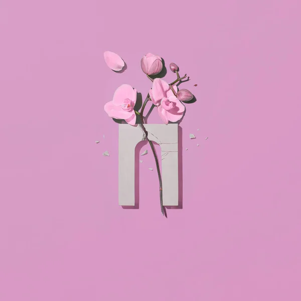 Samenstelling Met Een Gebroken Boog Amethist Orchidee Bloem Een Roze Stockfoto
