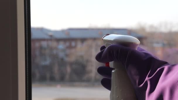 Hand in Hand wäscht ein Gummihandschuh das Fenster. Hochwertiges FullHD-Filmmaterial. — Stockvideo