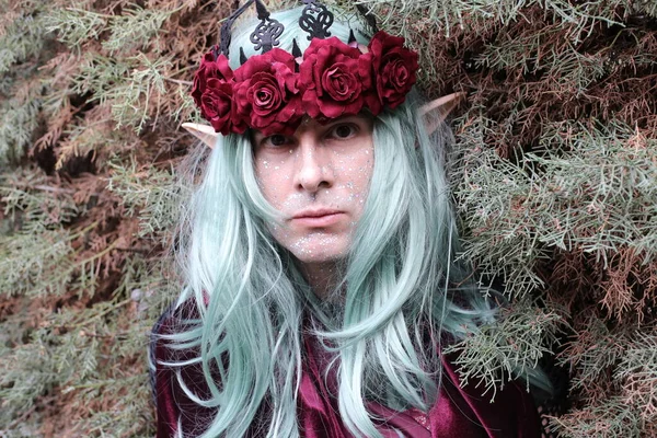 close-up portrait of handsome young man dressed like elf with long colored hair and crown with roses on nature