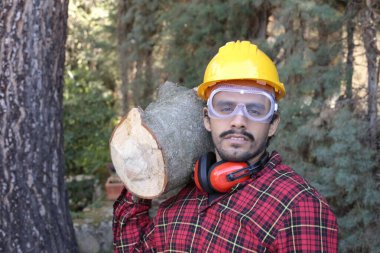 Kasklı yakışıklı oduncunun portresi omuzunda kütük tutuyor.