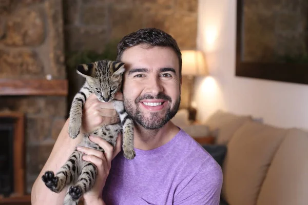 Serval at home Pictures, Serval at home Stock Photos u0026 Images