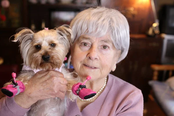 Retrato Cerca Mujer Madura Con Cachorro Yorkshire Casa — Foto de Stock