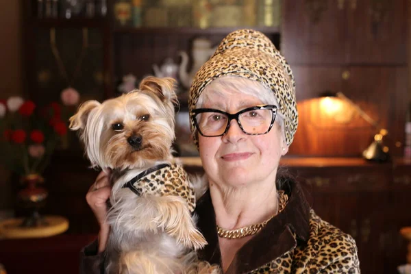 Nahaufnahme Porträt Einer Reifen Frau Die Ihren Entzückenden Yorkshire Terrier — Stockfoto