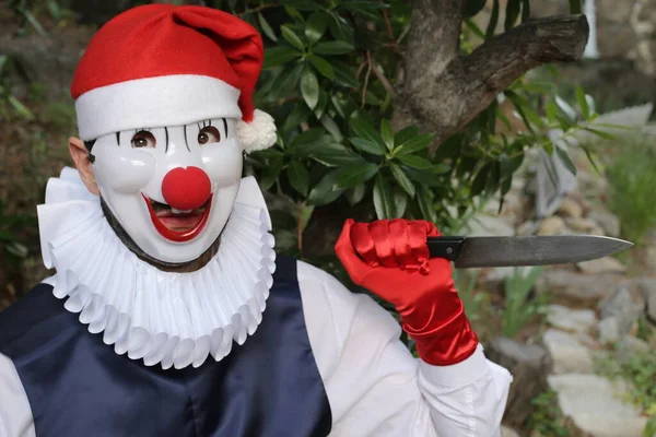 Ritratto Ravvicinato Dell Uomo Maschera Clown Costume Nel Parco — Foto Stock