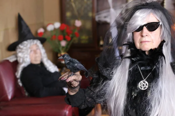 Ritratto Due Donne Mature Costumi Halloween Casa Donna Con Corvo — Foto Stock